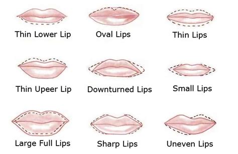 Perfect Lips How To Draw Right Shape Lip Shapes Types Of Lips Shape Perfect Lips