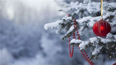 Snow Covered Pine Tree With Red Christmas Ball Hd Christmas Wallpapers