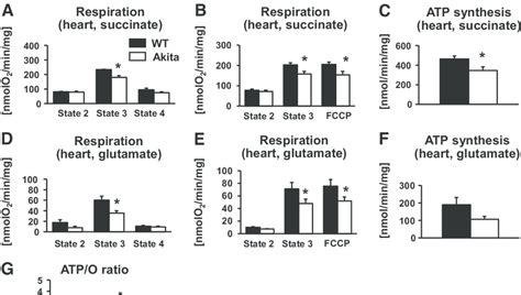 Mitochondrial Function In The Heart Respiration Rates A B D And E