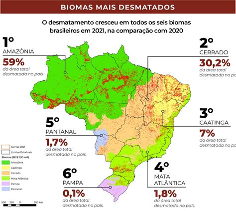Caatinga Foi Terceiro Bioma Mais Afetado Pelo Desmatamento Em