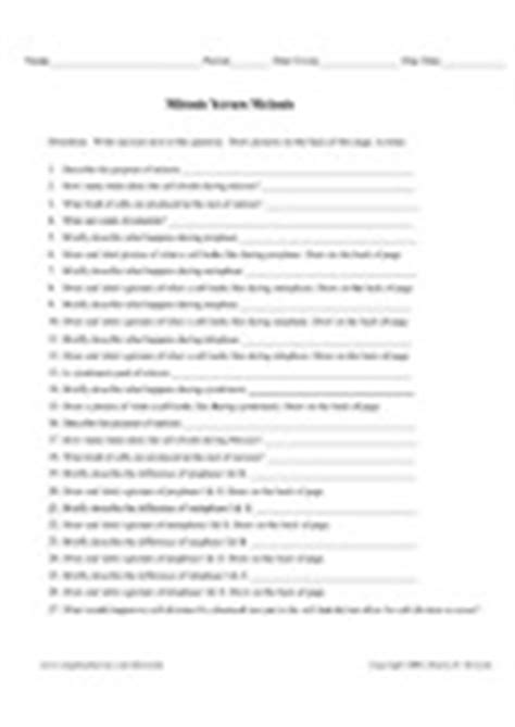Genetics unit test study guide answer key. 17 Best Images of Mitosis Versus Meiosis Worksheet Answer ...