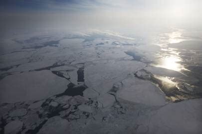 Nasa scientists have observed earth's surface is warming, and. What is climate change? The definition, causes and effects ...