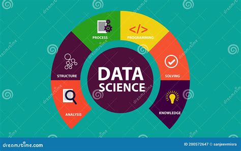 Ciencia De Datos Infografía Ilustración Vectorial Estructura De