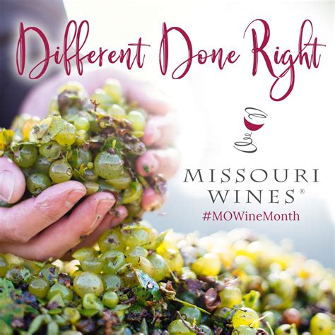 Celebrating Missouri Wine Month Mo Wines
