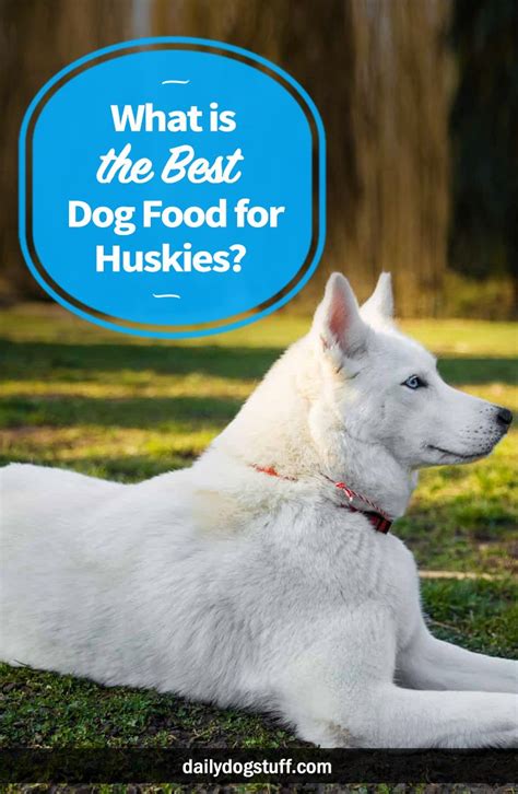 If you consider the best dog food for husky puppies, your pet stays in good health. What is the Best Dog Food for Huskies? via @dailydogstuff ...