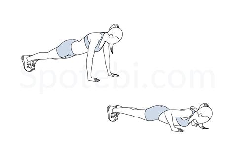 Push Up Illustrated Exercise Guide Workout Guide Chest Workouts