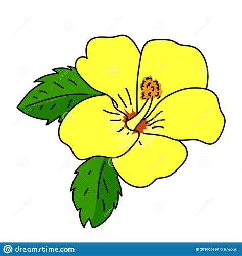 Yellow Hibiscus Flower Background Cartoon Vector