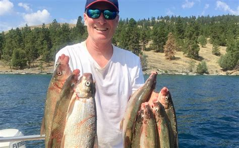 Helena Angler Catches Cooler Full Of Whitefish On Flathead