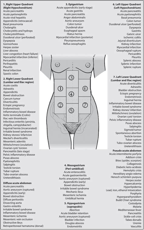 Differential Diagnosis Acute Abdominal Pain Adapted From Malbrain Et
