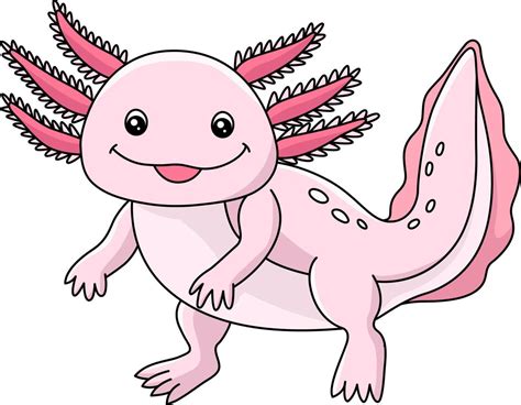 Axolotl Cartoon Colored Clipart Illustration 6458246 Vector Art At Vecteezy