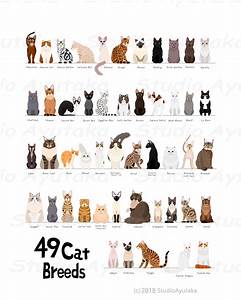 49 Breeds Of Cats Chart Svg Jpg Png 1620 Etsy Finland