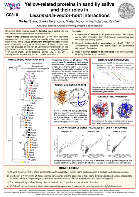 Pdf Yellow Related Proteins In Sand Fly Saliva And Their Roles In Leishmania Vector Host