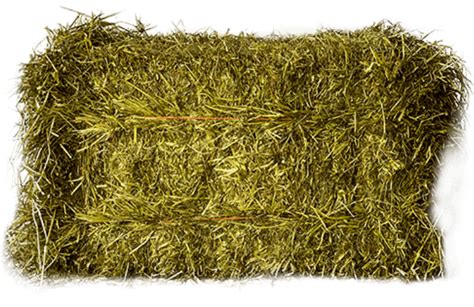Bagged Pure Hay Meadow Hay For Sale