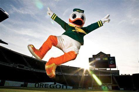 The Duck Puddles University Of Oregon Oregon Ducks Football Oregon