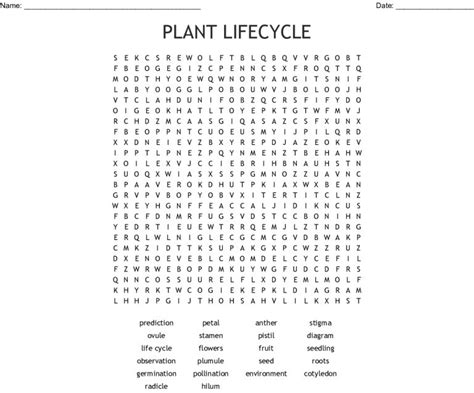 Printable Life Cycle Of A Tree Printable Word Searches Images And