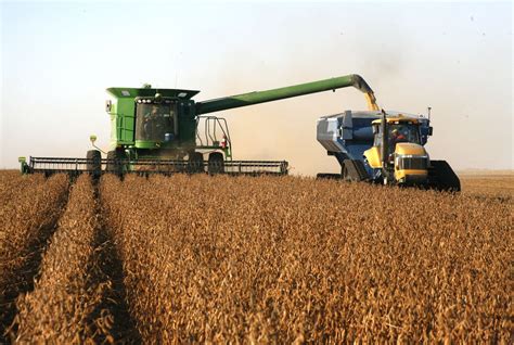 Harvesting Soybeans Iowa Farms Grundy County Iowa