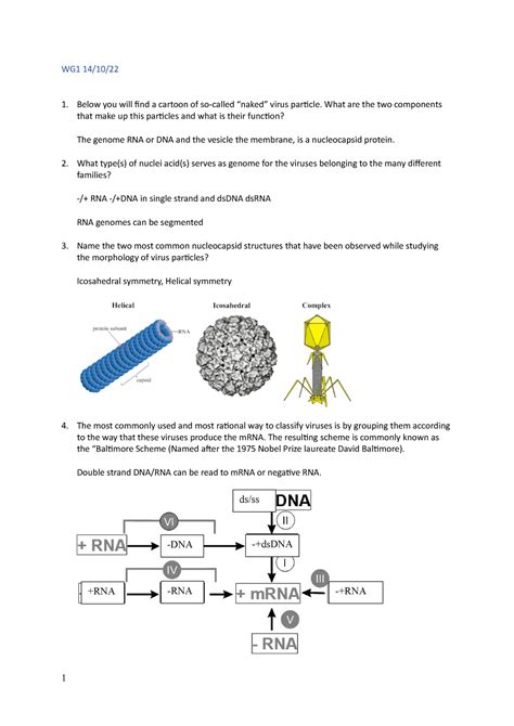 Infectious Agents And Immunity WG Below You Will Find A Cartoon Of So Called Naked