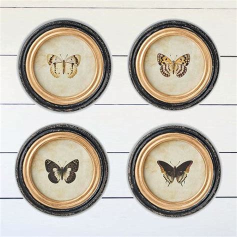 Round Framed Butterfly Prints Set Of 4 Antique Farmhouse