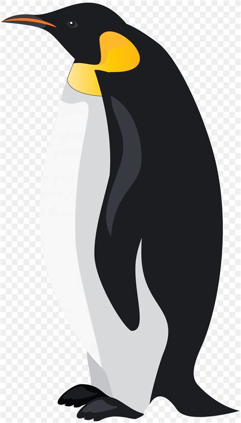 King Penguin Bird Emperor Penguin Clip Art Png 4564x8000px Penguin