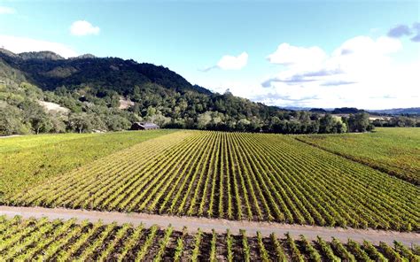 Autumn Vineyard Colors With Aerial Photography Hafner Vineyard