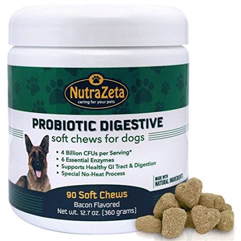 Premium Probiotics For Dogs 90 Soft Chews 4bill Cfus2 Chews For