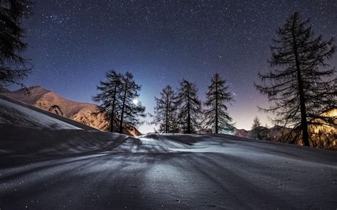 Landscape Snow Winter Trees Stars Night Wallpapers Hd