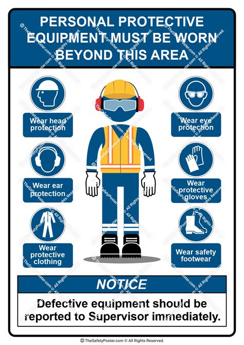 Describe The Employees Responsibilities Regarding The Use Of Ppe
