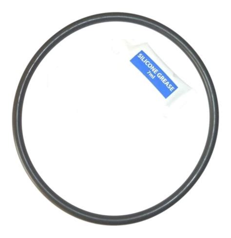 O Ring Gasket Seal 4404180201 For Astralpool Cantabric Sand Filter