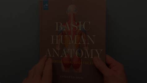Roberto Osti Drawing On Linkedin Basic Human Anatomy Bha