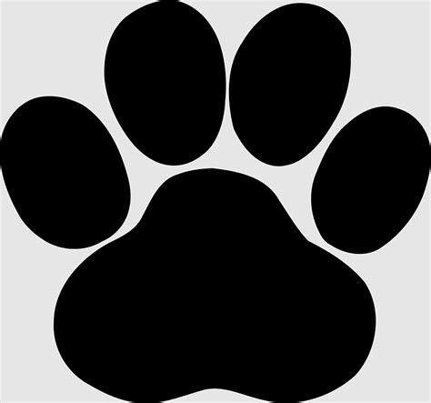 Paw Prints Paw Printing Dog Cat Silhouette Monochrome Animals