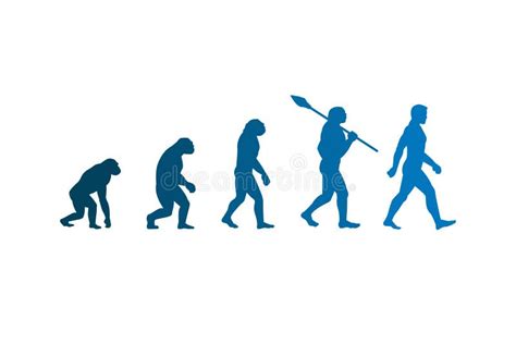 Evolutiontheory Of Evolution Of Man Vector Illustrationhuman E Stock