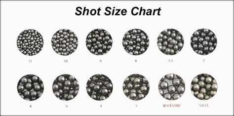 00 Buckshot Size Chart Shot Size Chart Recommendations The Size