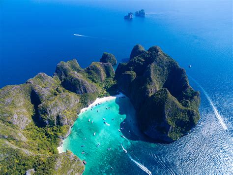 Scientists Are Glueing Corals On Maya Bay Literally