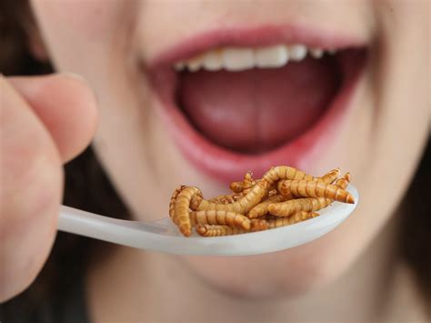 Everyday Foods Are Full Of Insect Bits Business Insider