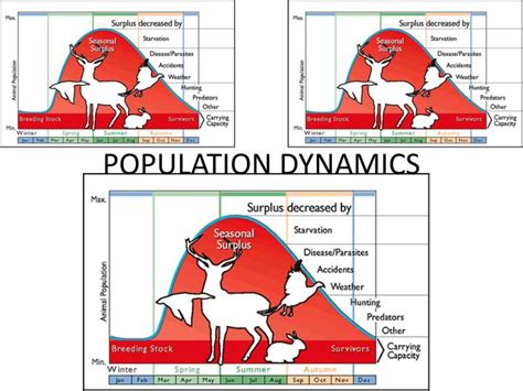 Peak Human Population Dynamics Ppt Background For Kids Pelajaran