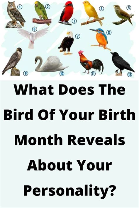 Birds Birth Month Colors Birth Month Flowers Birth Symbols May Birth