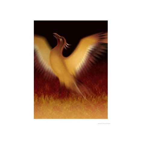 The Mythical Phoenix Rising From Ashes Wall Art Print Mythical