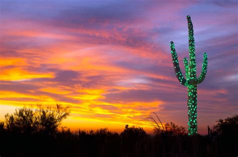 Saguaro Lights Bing Wallpaper Download