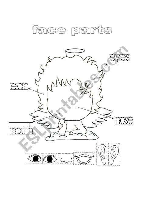 Printable Face Parts For Kids
