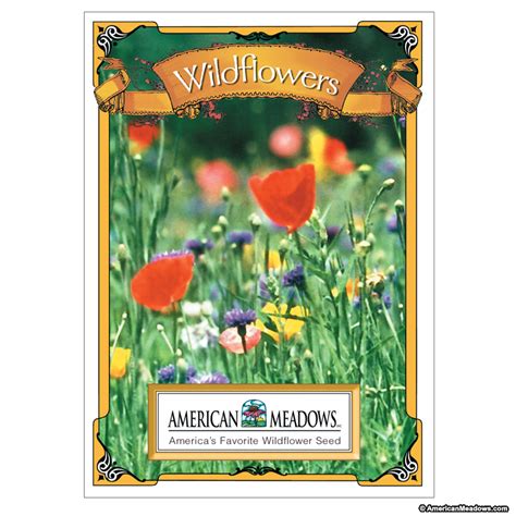 Wildflower Mix Seed Packet Flower Seeds Packets American Meadows