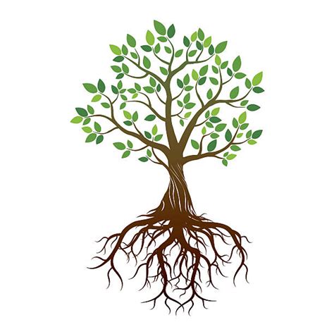 Tree With Roots Drawing Easy Are You Searching For Tree Roots Png