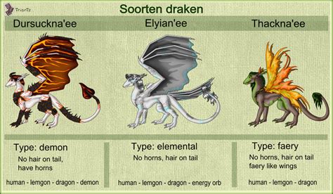 Dragon Types By Silvertje On Deviantart
