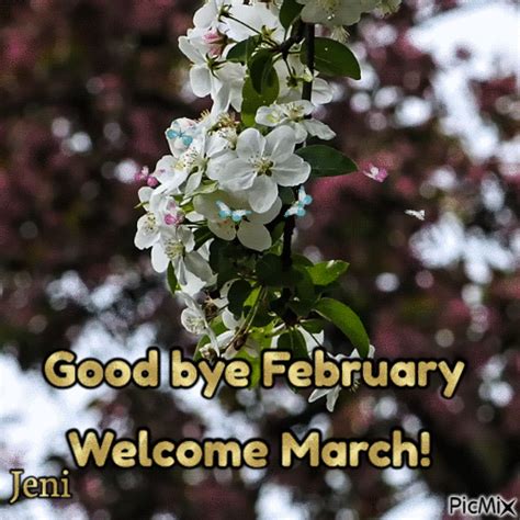 White Floral Goodbye February Welcome March Pictures Photos And
