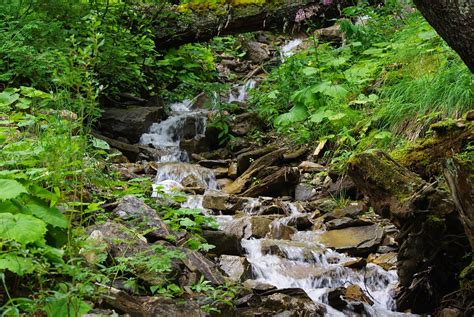 Free Photo Mountain Stream Stream Brook Free Image On Pixabay