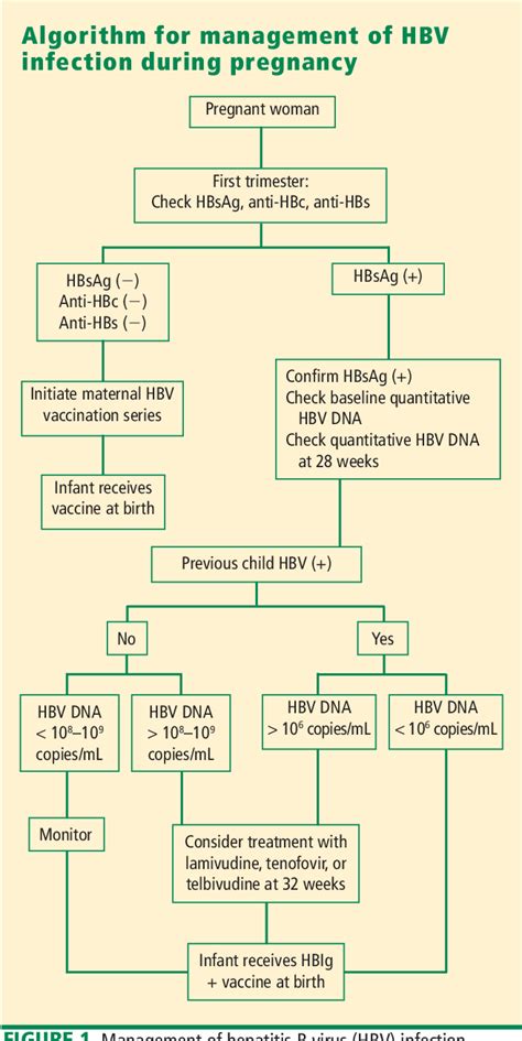Figure 1 From Management Of Hepatitis B In Pregnancy Weighing The