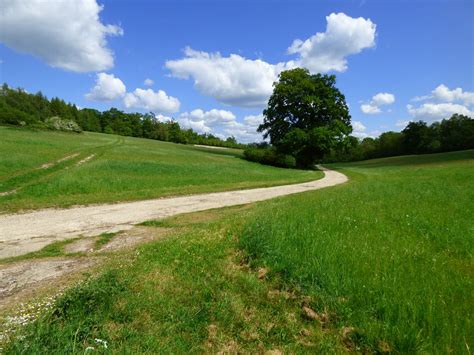 Grassland Track And Woodland Ramsbury © Andrew Smith Cc By Sa20