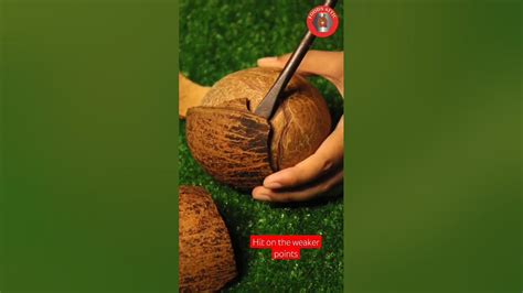 Can You Take Out Whole Coconut From Shell Full Coconut Out Of