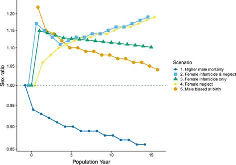 Population Sex Ratio By Age Cohort In A Hypothetical Population Under Download Scientific