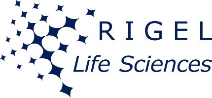 RIGEL LEADING SOLUTIONS - Home Page - Rigel Leading Solutions