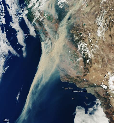 What Causes Wildfires Copernicus Says Emissions Fell In Good Sign For